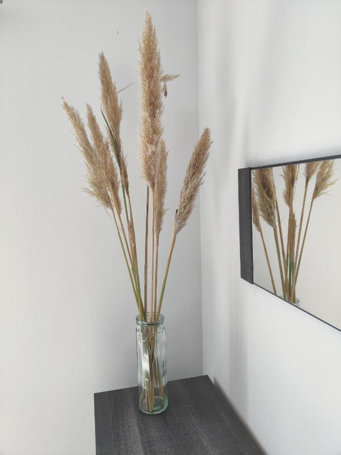 Appartement T3 Plume Hyper Centre D'Ernée المظهر الخارجي الصورة